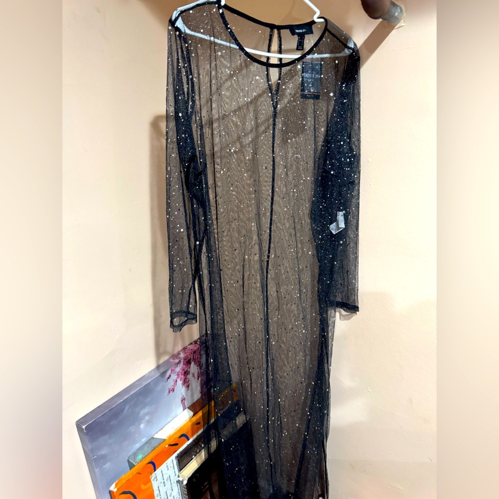 Long Sheer Dress